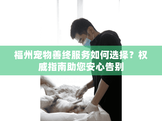 福州宠物善终服务如何选择？权威指南助您安心告别