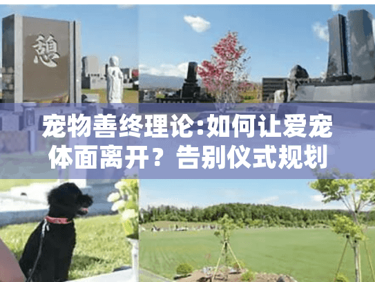 宠物善终理论:如何让爱宠体面离开？告别仪式规划全解
