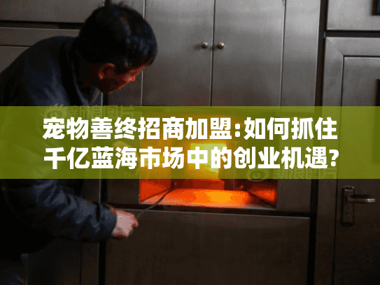 宠物善终招商加盟:如何抓住千亿蓝海市场中的创业机遇?