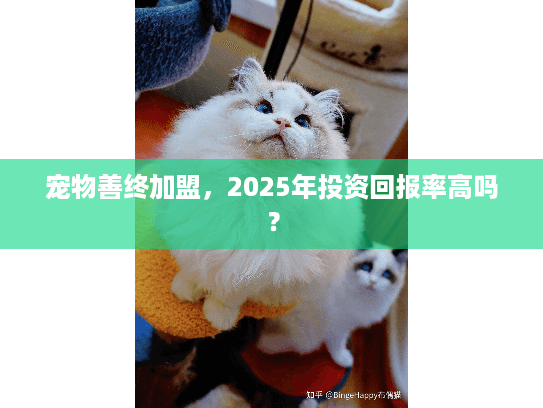 宠物善终加盟，2025年投资回报率高吗？