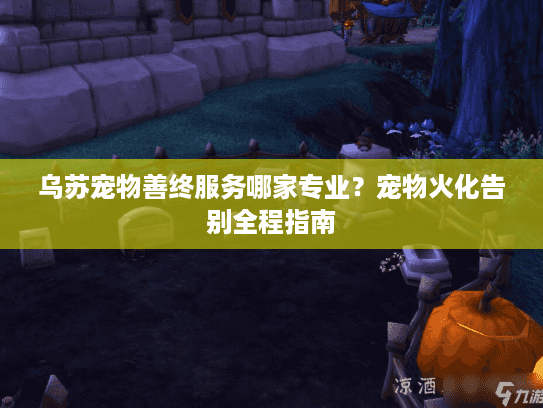 乌苏宠物善终服务哪家专业？宠物火化告别全程指南