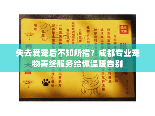 失去爱宠后不知所措？成都专业宠物善终服务给你温暖告别