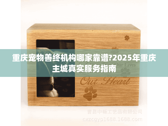 重庆宠物善终机构哪家靠谱?2025年重庆主城真实服务指南