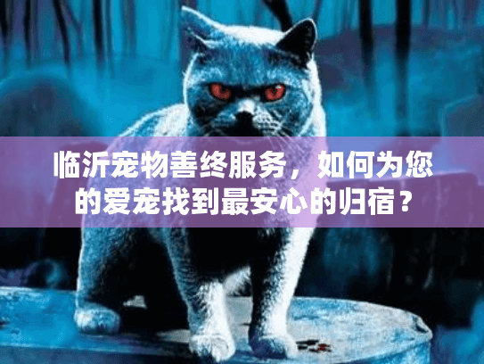 临沂宠物善终服务，如何为您的爱宠找到最安心的归宿？