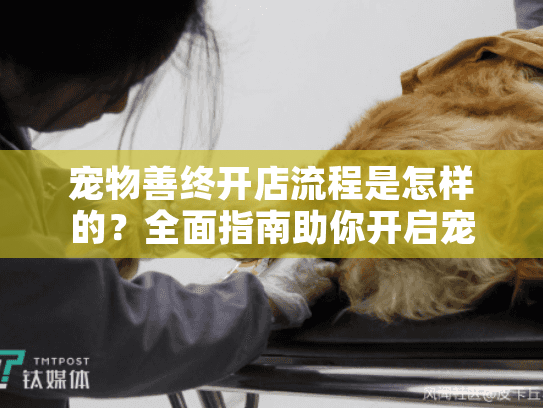 宠物善终开店流程是怎样的？全面指南助你开启宠物殡葬服务