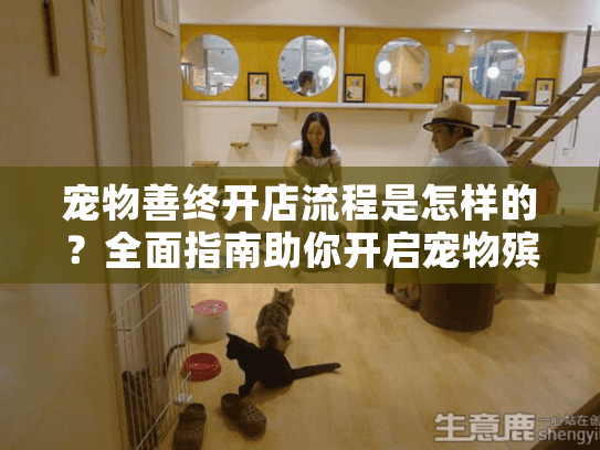 宠物善终开店流程是怎样的？全面指南助你开启宠物殡葬服务