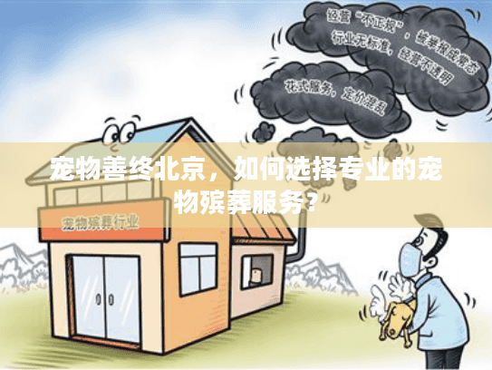 宠物善终北京，如何选择专业的宠物殡葬服务？