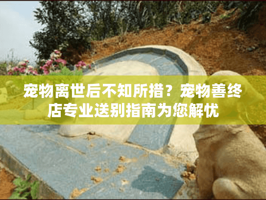 宠物离世后不知所措？宠物善终店专业送别指南为您解忧