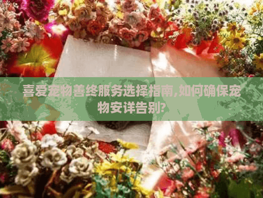 喜爱宠物善终服务选择指南,如何确保宠物安详告别?