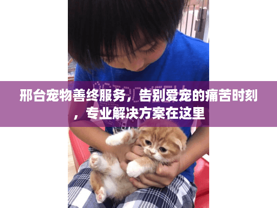 邢台宠物善终服务，告别爱宠的痛苦时刻，专业解决方案在这里