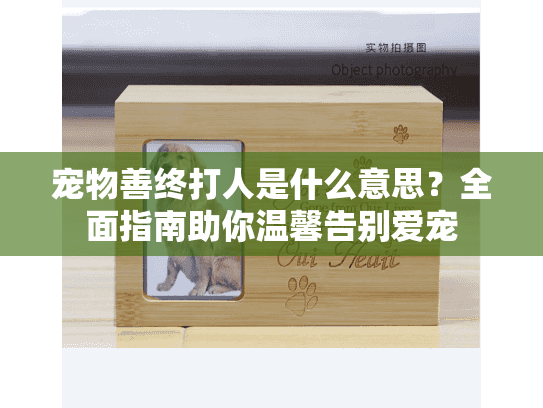 宠物善终打人是什么意思？全面指南助你温馨告别爱宠