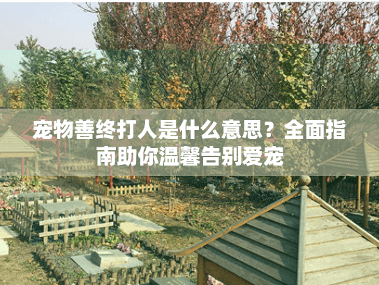 宠物善终打人是什么意思？全面指南助你温馨告别爱宠