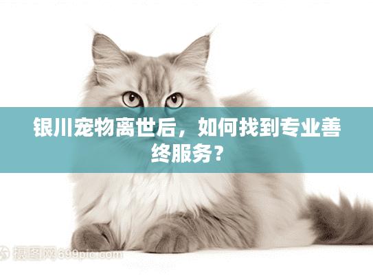 银川宠物离世后，如何找到专业善终服务？