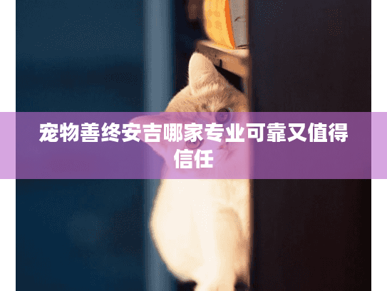 宠物善终安吉哪家专业可靠又值得信任