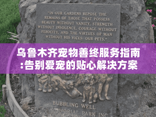 乌鲁木齐宠物善终服务指南:告别爱宠的贴心解决方案