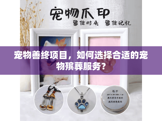 宠物善终项目，如何选择合适的宠物殡葬服务？