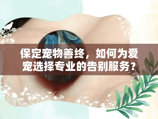 保定宠物善终，如何为爱宠选择专业的告别服务？