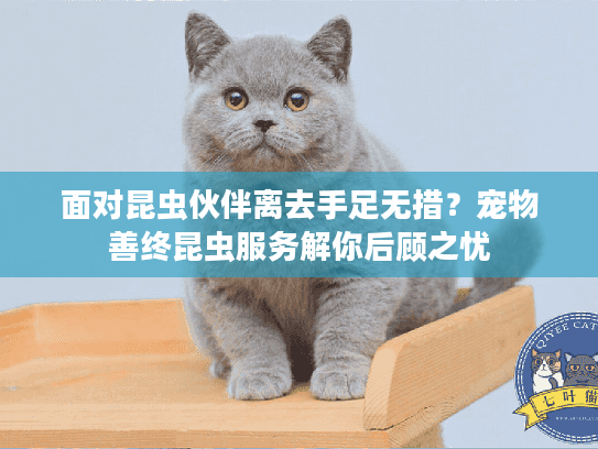 面对昆虫伙伴离去手足无措？宠物善终昆虫服务解你后顾之忧
