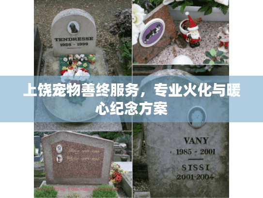 上饶宠物善终服务，专业火化与暖心纪念方案