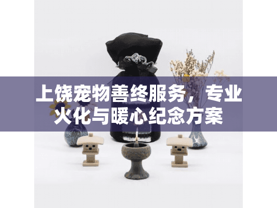 上饶宠物善终服务，专业火化与暖心纪念方案