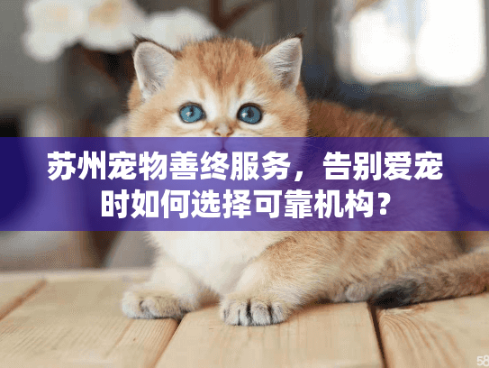 苏州宠物善终服务，告别爱宠时如何选择可靠机构？