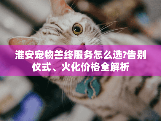 淮安宠物善终服务怎么选?告别仪式、火化价格全解析