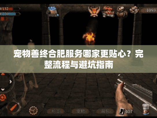 宠物善终合肥服务哪家更贴心？完整流程与避坑指南