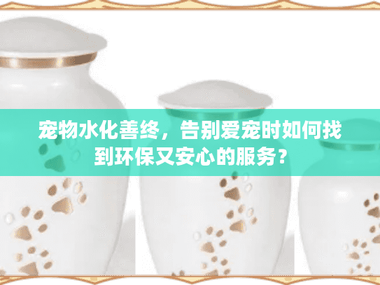 宠物水化善终，告别爱宠时如何找到环保又安心的服务？