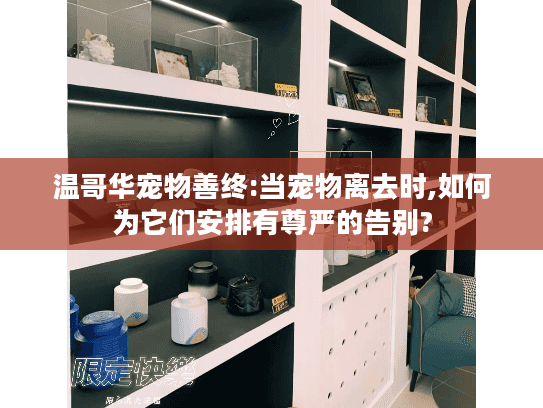 温哥华宠物善终:当宠物离去时,如何为它们安排有尊严的告别?