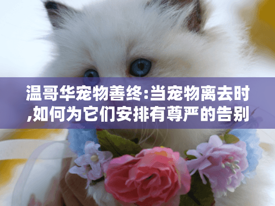 温哥华宠物善终:当宠物离去时,如何为它们安排有尊严的告别?