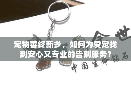 宠物善终新乡，如何为爱宠找到安心又专业的告别服务？