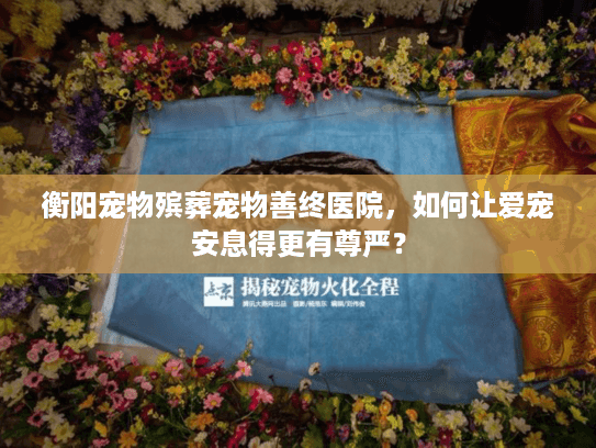 衡阳宠物殡葬宠物善终医院，如何让爱宠安息得更有尊严？