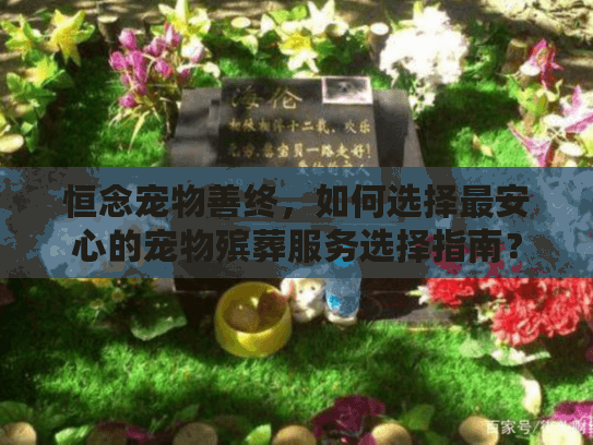 恒念宠物善终，如何选择最安心的宠物殡葬服务选择指南？