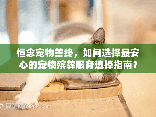 恒念宠物善终，如何选择最安心的宠物殡葬服务选择指南？