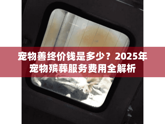 宠物善终价钱是多少？2025年宠物殡葬服务费用全解析