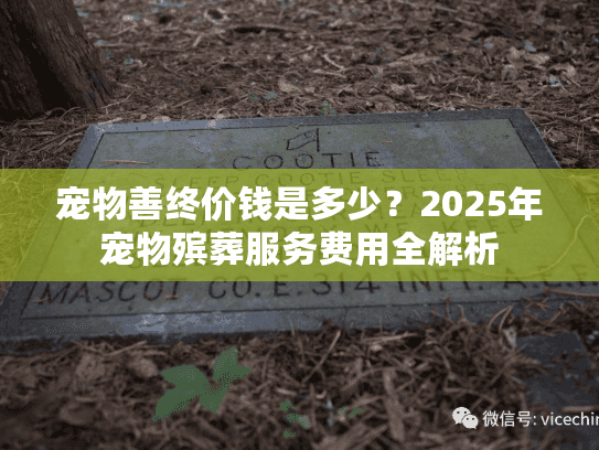 宠物善终价钱是多少？2025年宠物殡葬服务费用全解析