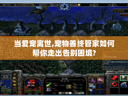 当爱宠离世,宠物善终管家如何帮你走出告别困境?