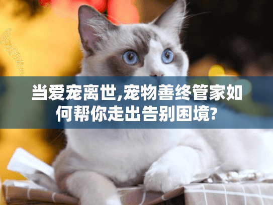当爱宠离世,宠物善终管家如何帮你走出告别困境?