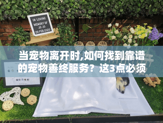 当宠物离开时,如何找到靠谱的宠物善终服务？这3点必须提前了解