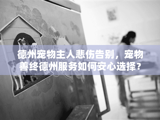 德州宠物主人悲伤告别，宠物善终德州服务如何安心选择？