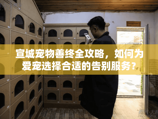 宣城宠物善终全攻略，如何为爱宠选择合适的告别服务？