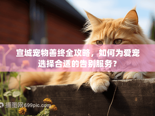 宣城宠物善终全攻略,如何为爱宠选择合适的告别服务?