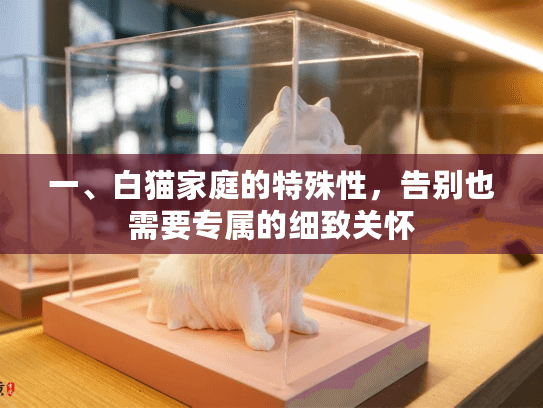 一、白猫家庭的特殊性，告别也需要专属的细致关怀