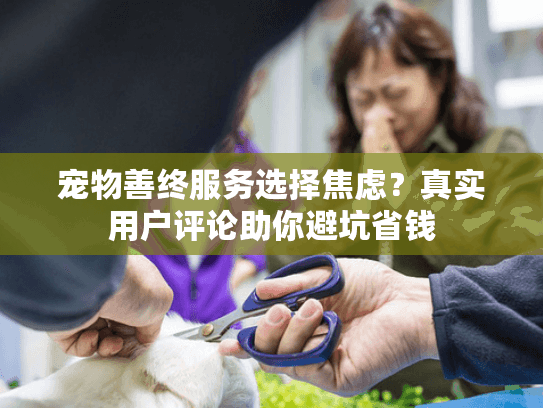 宠物善终服务选择焦虑？真实用户评论助你避坑省钱