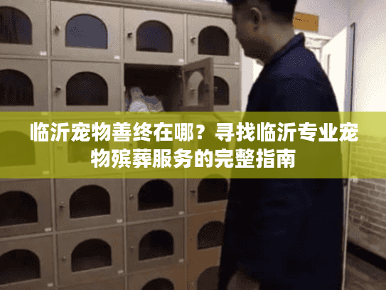 临沂宠物善终在哪？寻找临沂专业宠物殡葬服务的完整指南