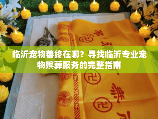 临沂宠物善终在哪？寻找临沂专业宠物殡葬服务的完整指南