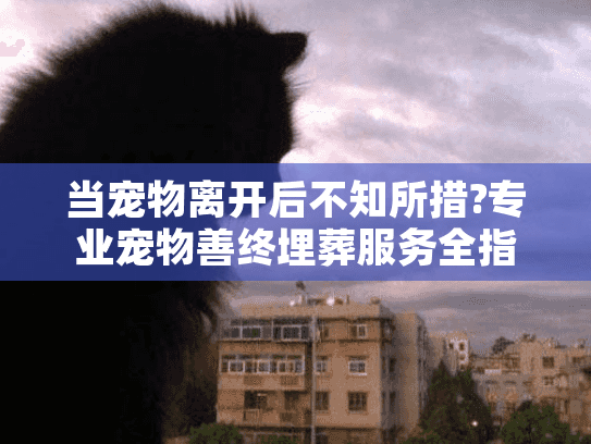 当宠物离开后不知所措?专业宠物善终埋葬服务全指南