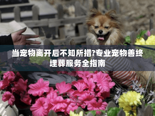 当宠物离开后不知所措?专业宠物善终埋葬服务全指南