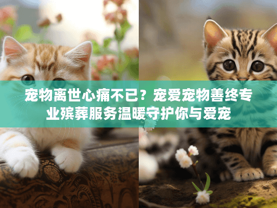 宠物离世心痛不已？宠爱宠物善终专业殡葬服务温暖守护你与爱宠