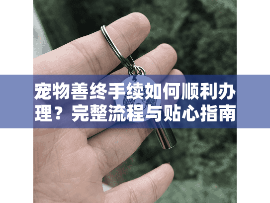 宠物善终手续如何顺利办理？完整流程与贴心指南